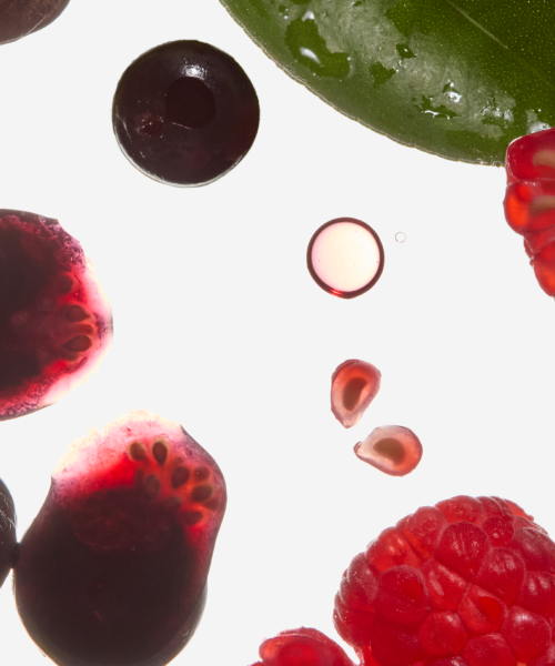 Herbivore Botanicals 1