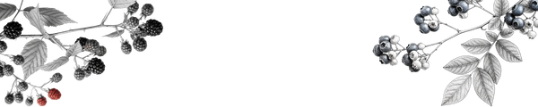 Indie Lee 4