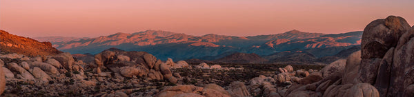 Kinfield 3