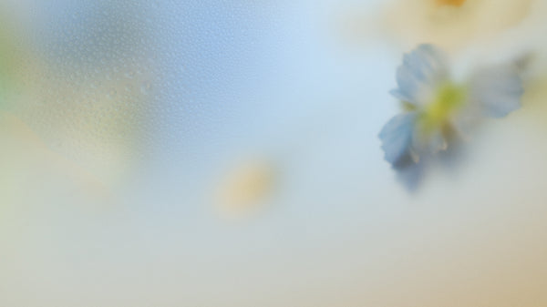 KORA Organics 1