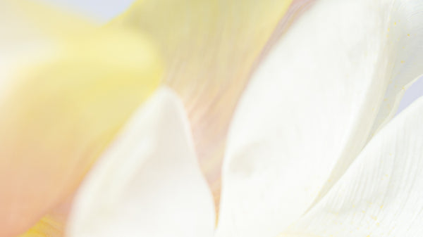 KORA Organics 2