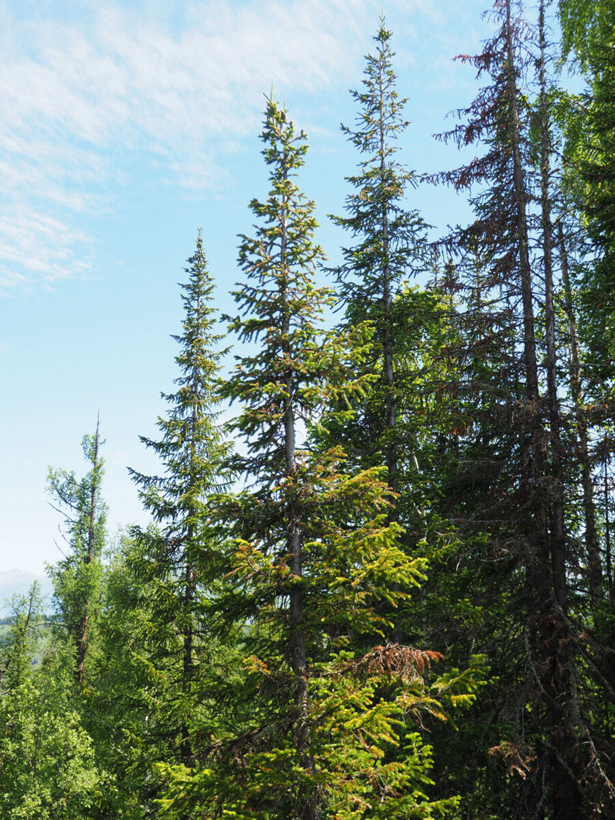 undefined 3