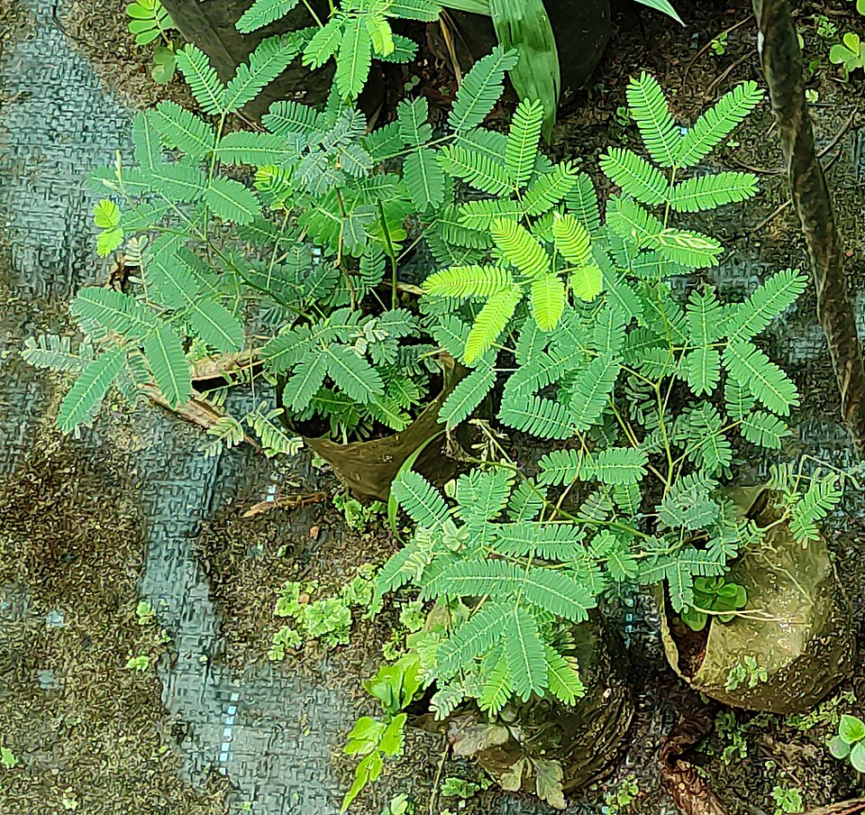 undefined 4