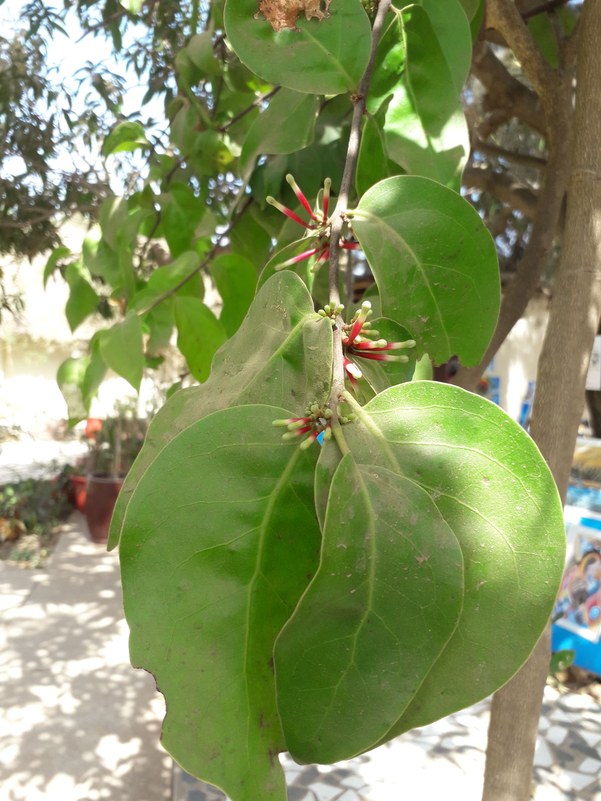 undefined 5