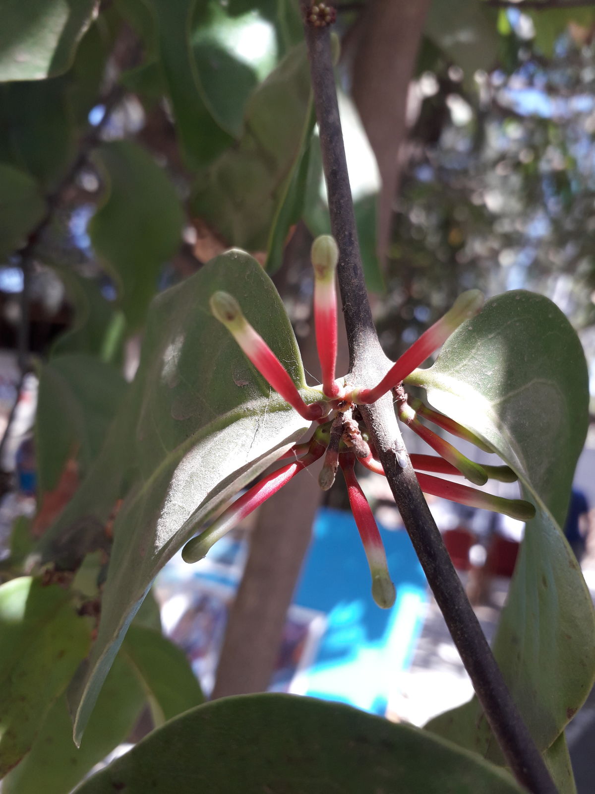 undefined 8