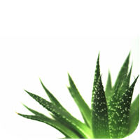 undefined 14