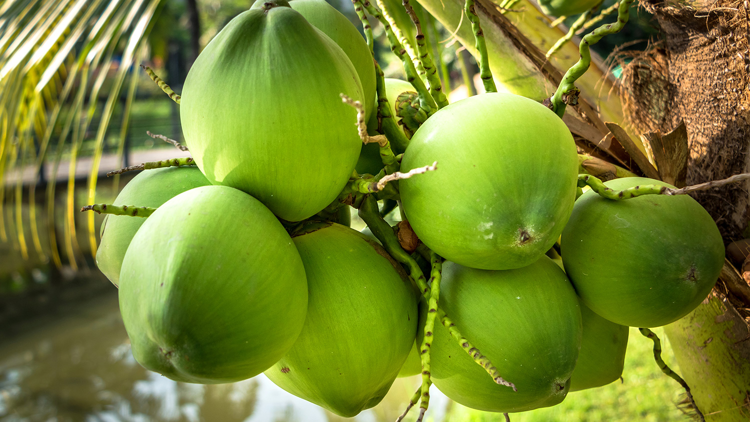 undefined 2