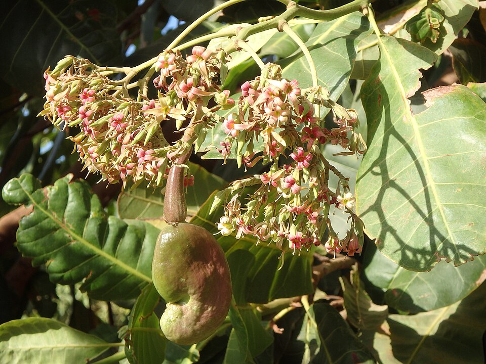 undefined 4