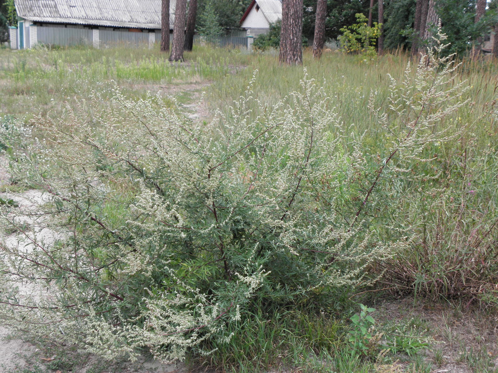 undefined 2