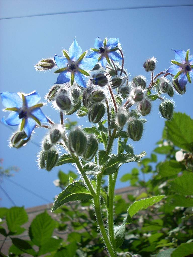undefined 1