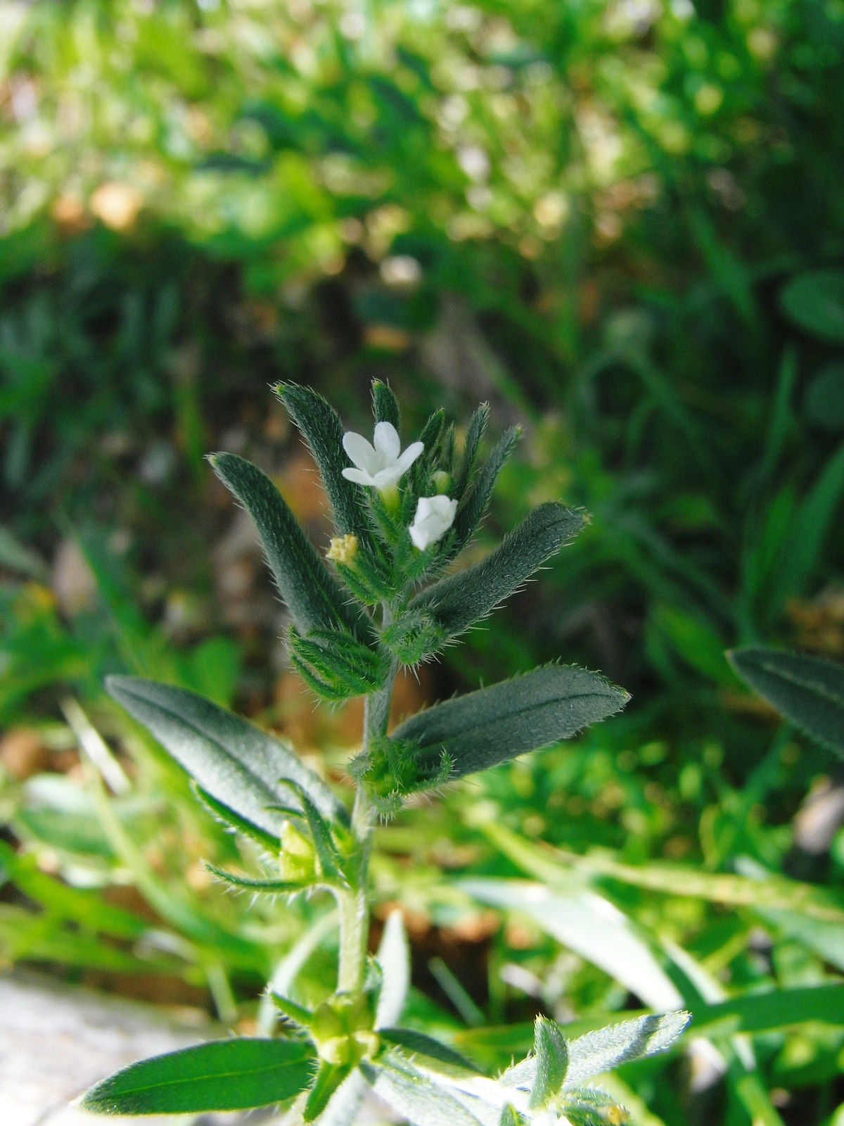 undefined 3