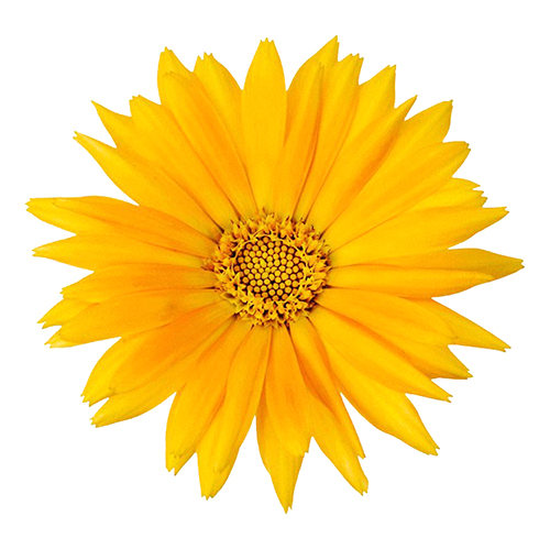 undefined 11