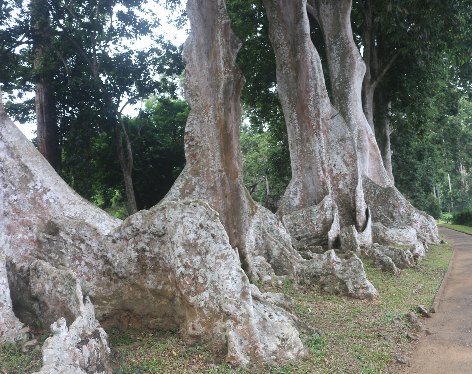 undefined 4