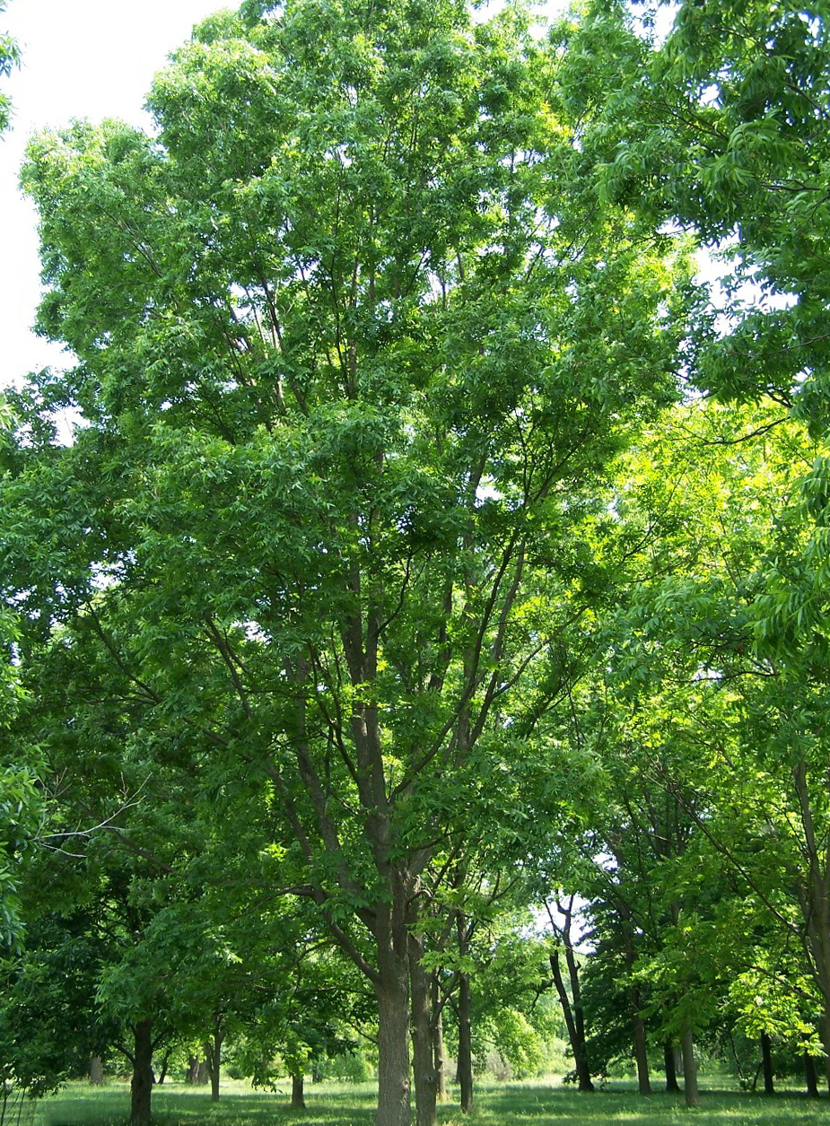 undefined 2