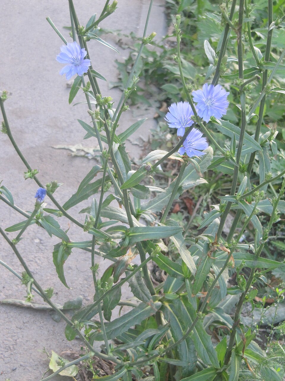 undefined 4
