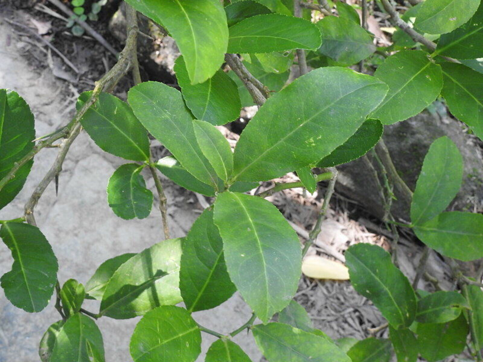 undefined 2