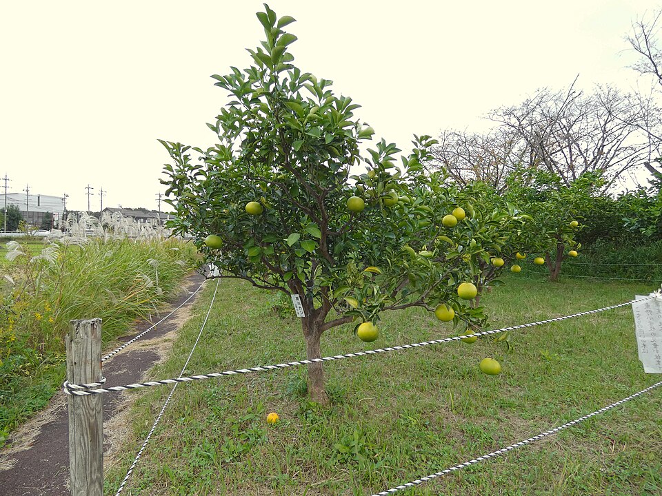 undefined 3