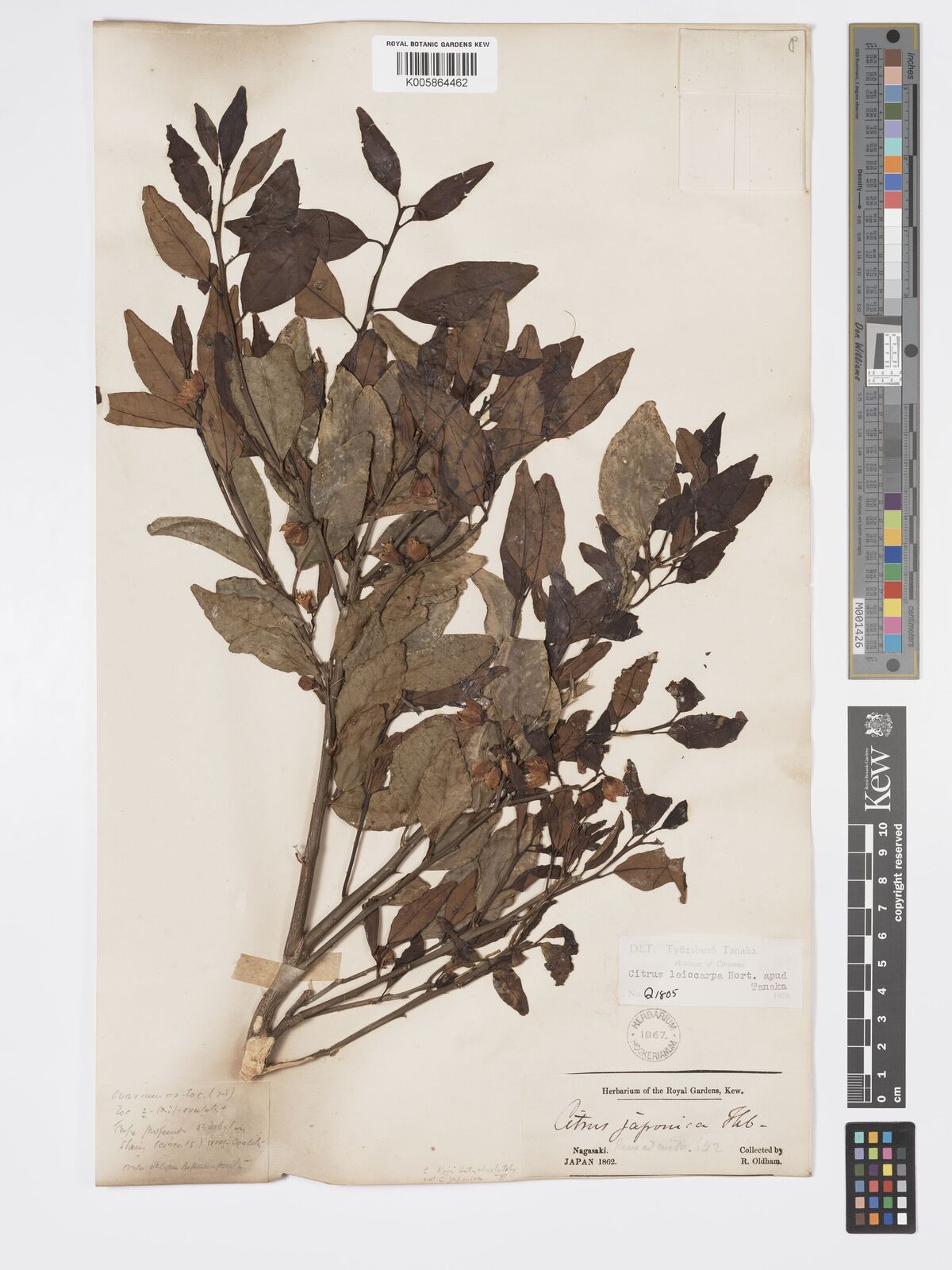 undefined 7