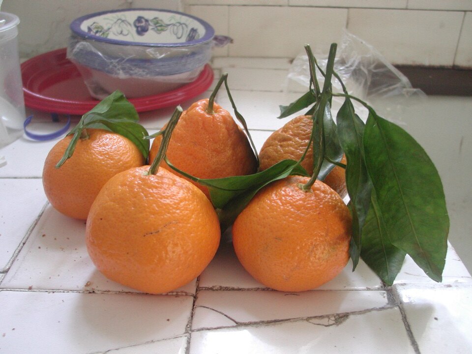 undefined 3