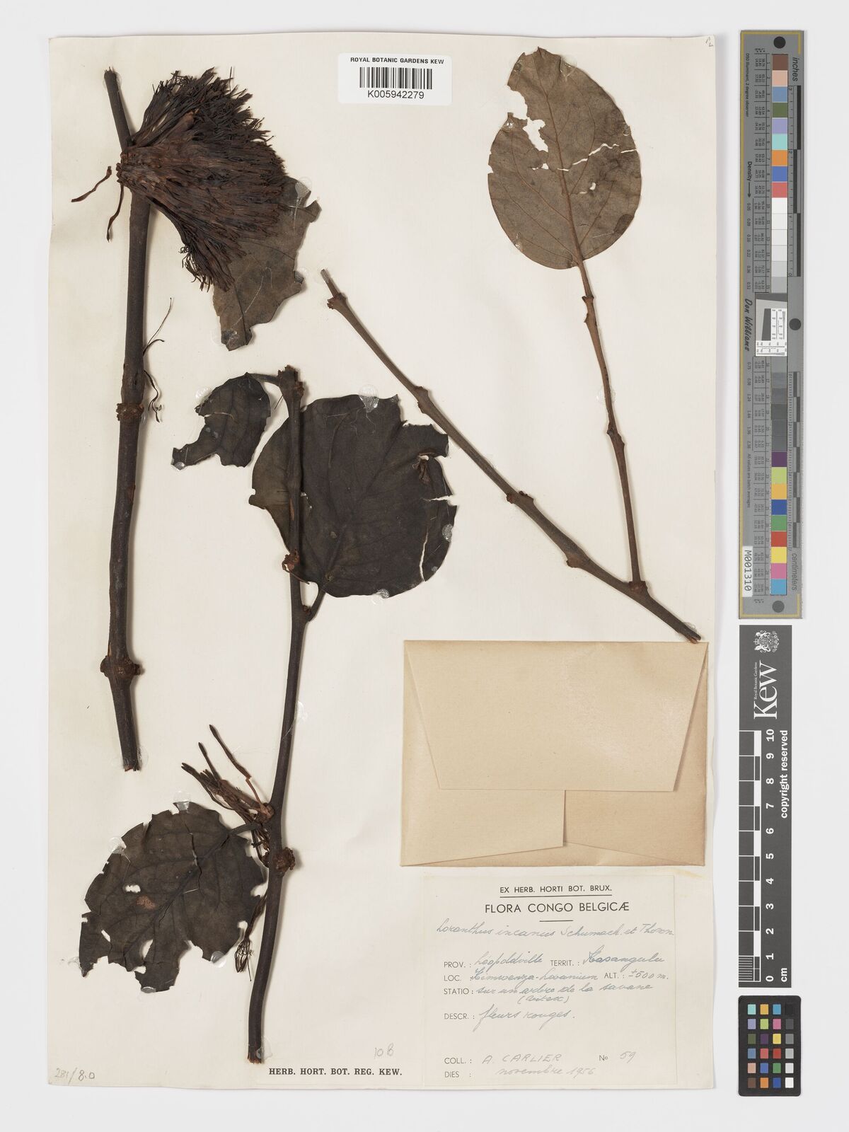 undefined 7