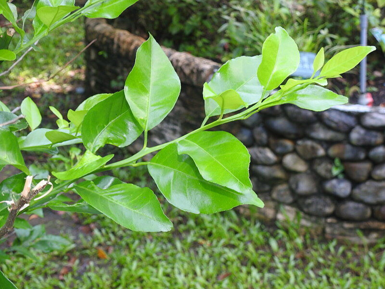 undefined 2