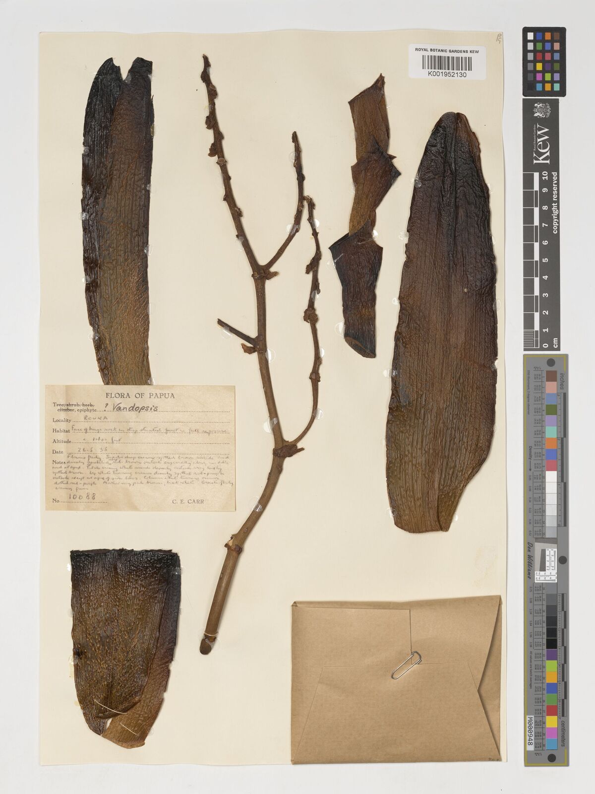 undefined 9