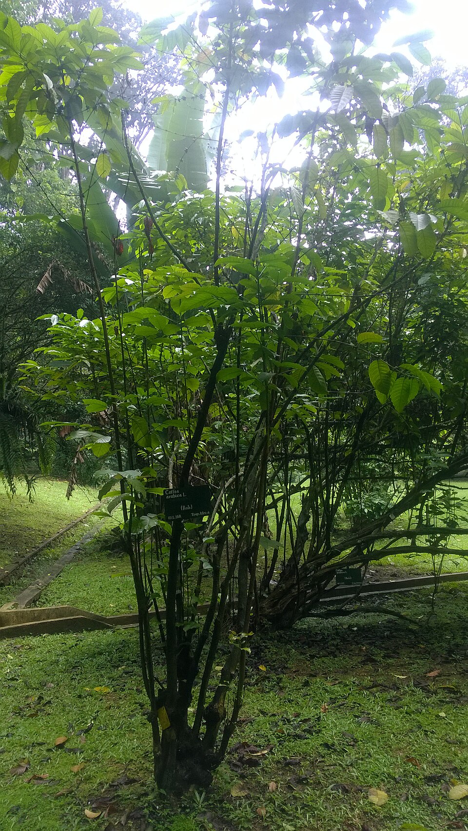 undefined 4