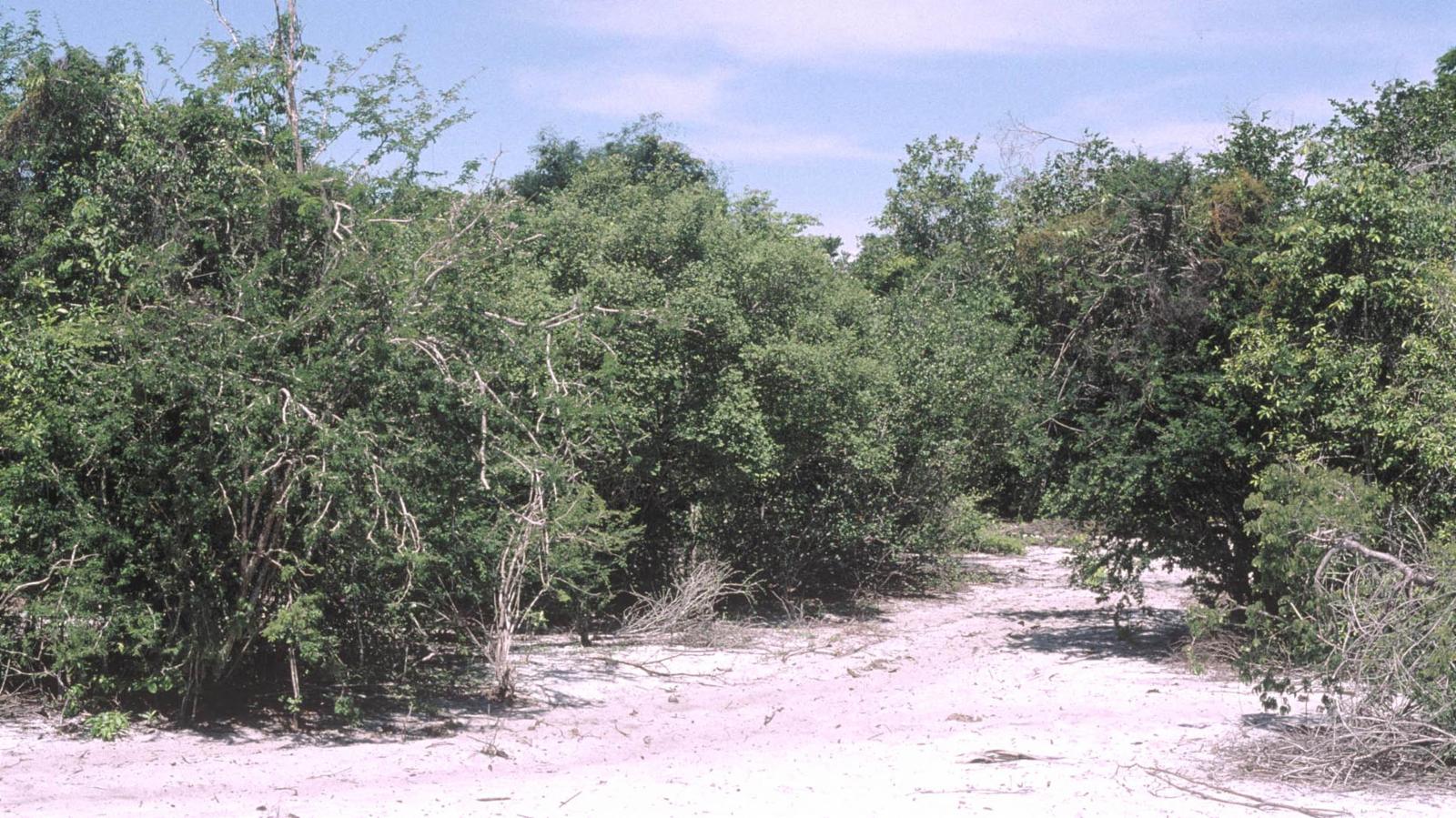 undefined 11