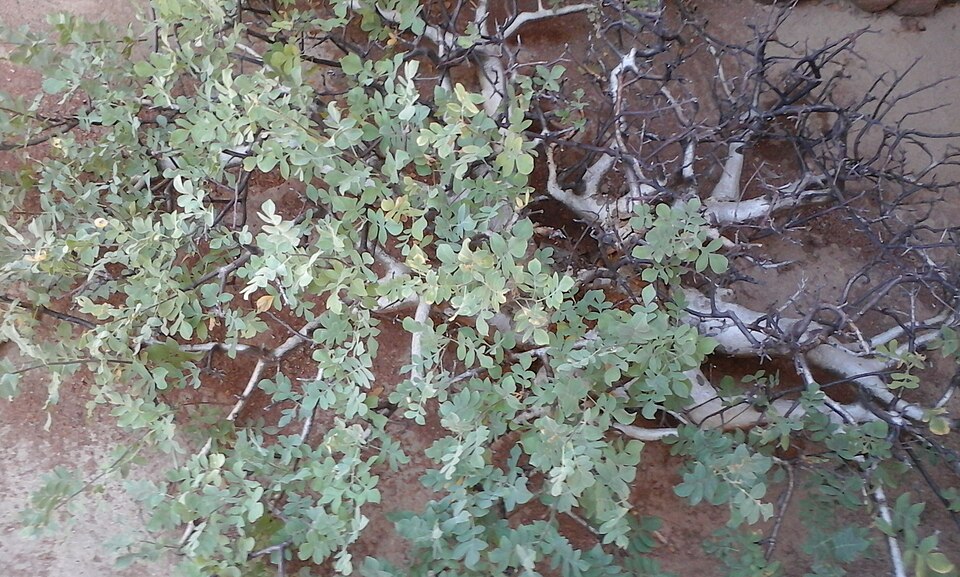 undefined 2
