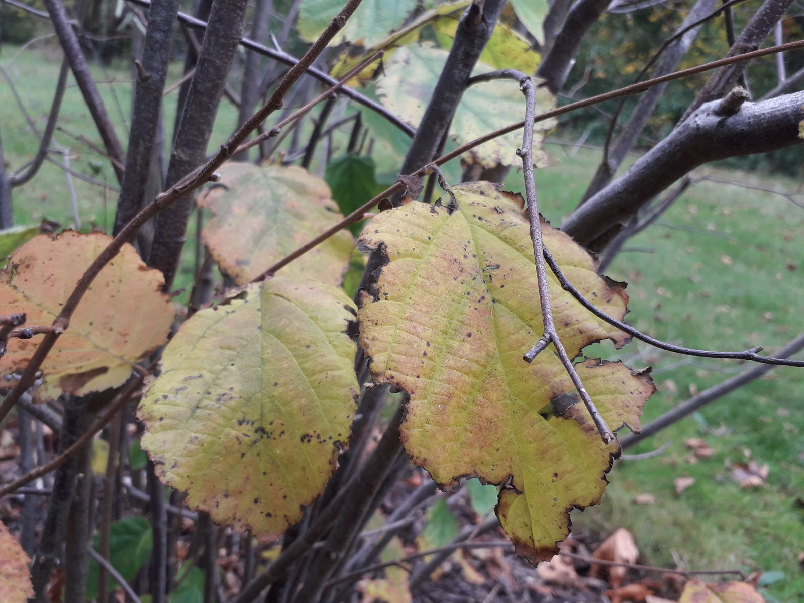 undefined 2