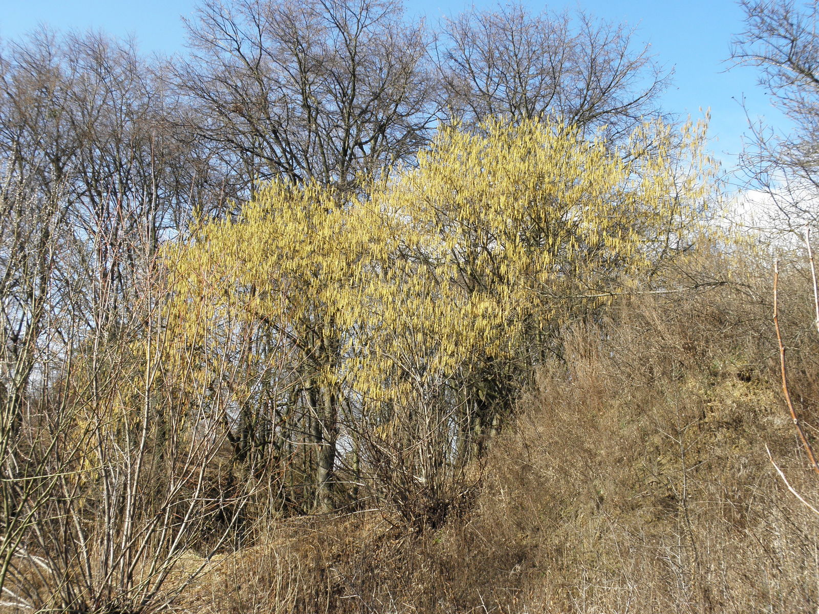 undefined 2