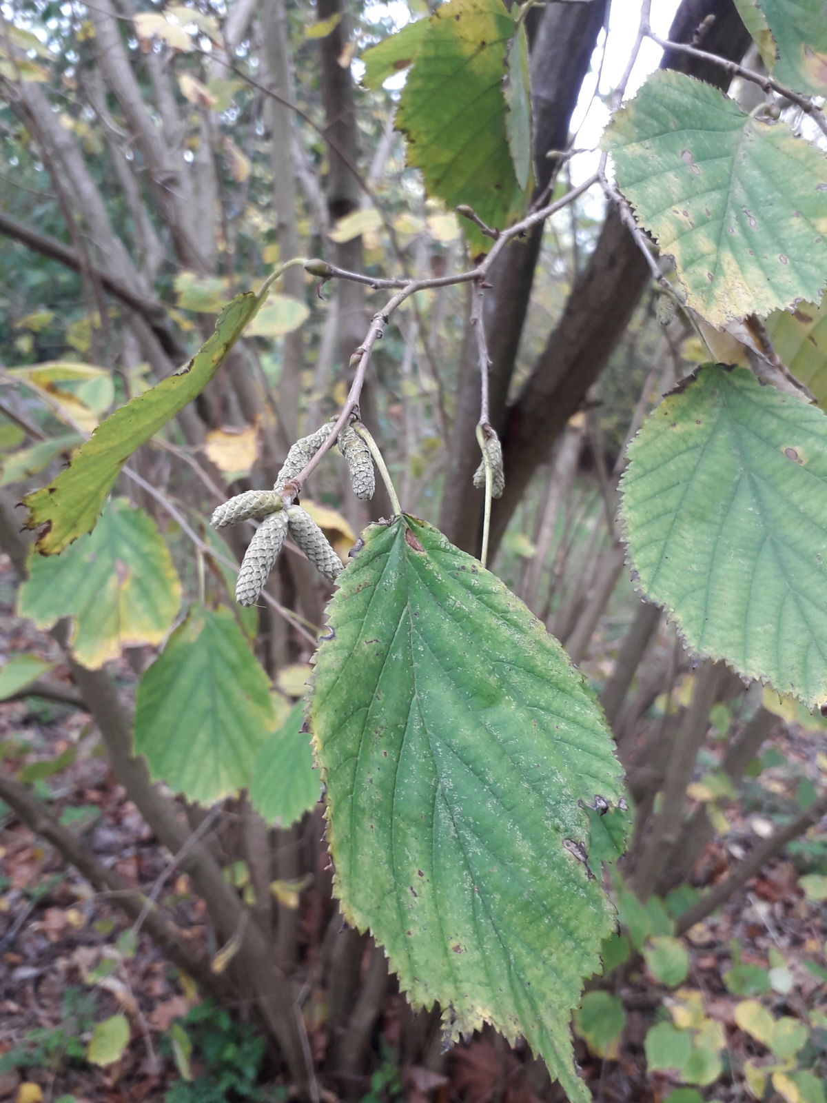 undefined 2