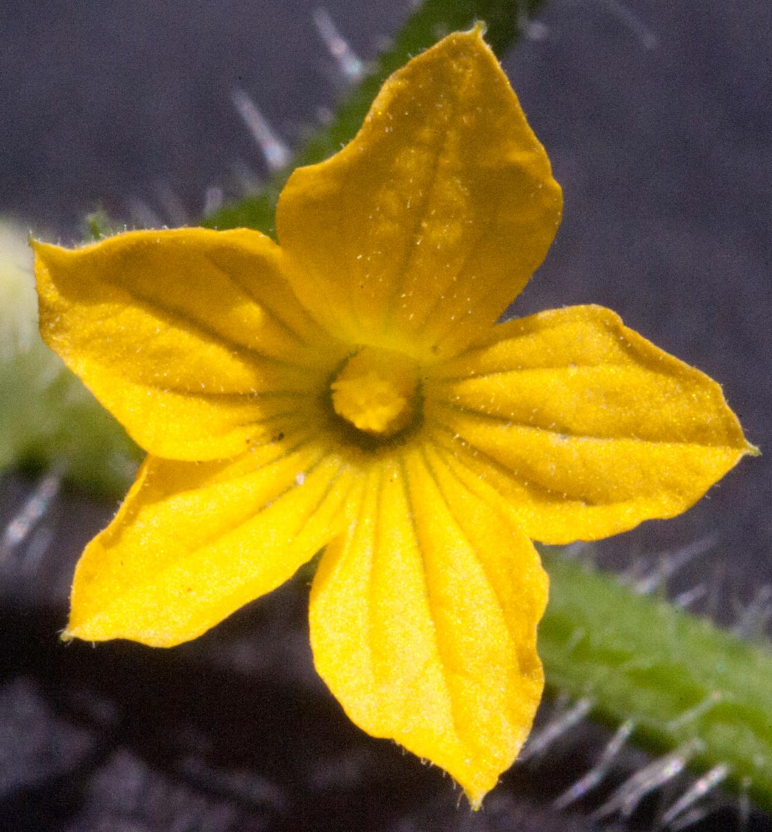 undefined 6