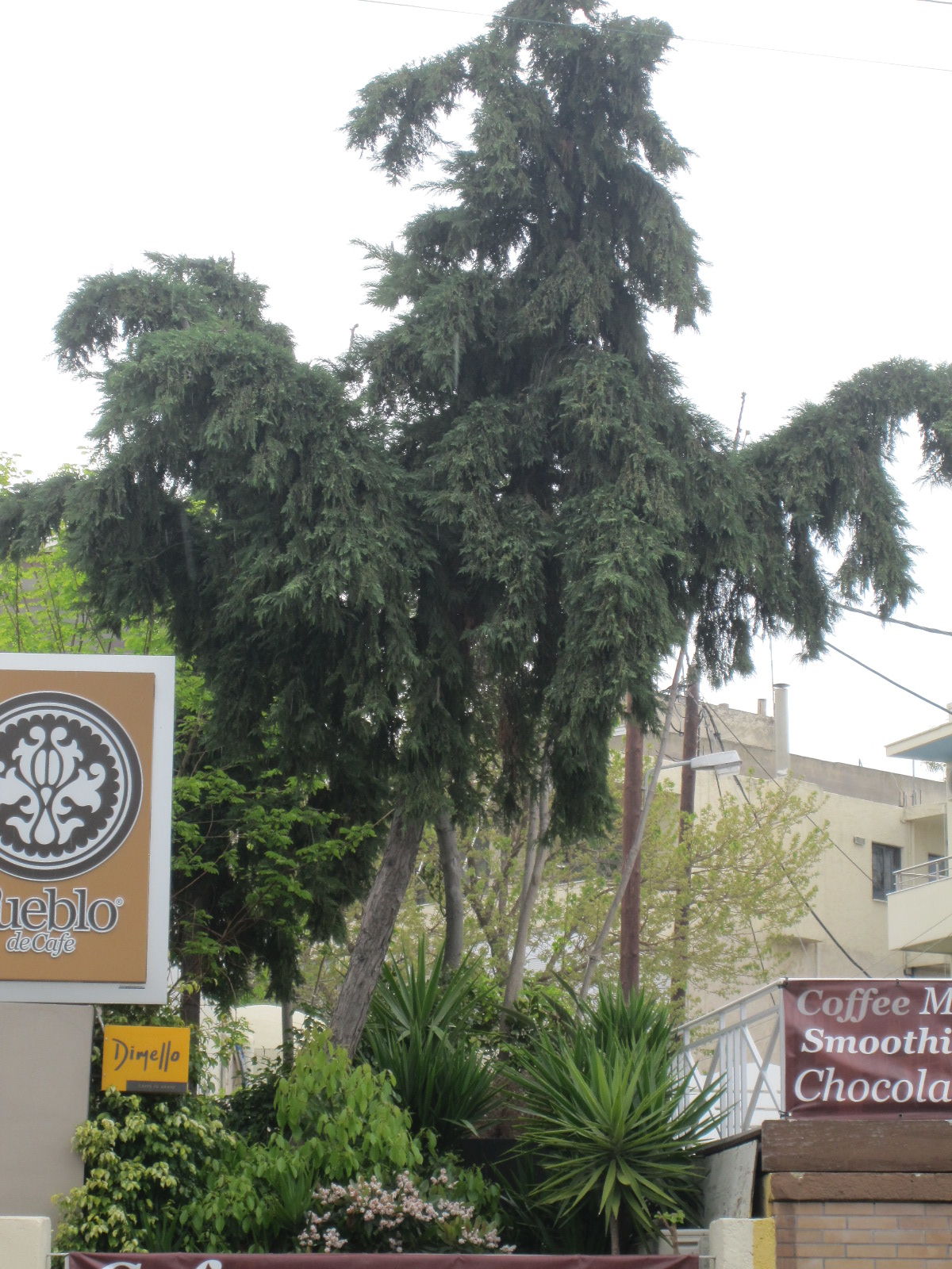 undefined 4