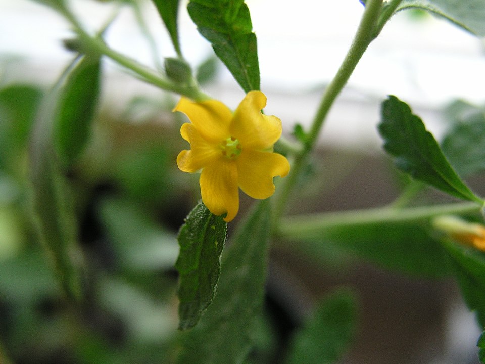 undefined 4