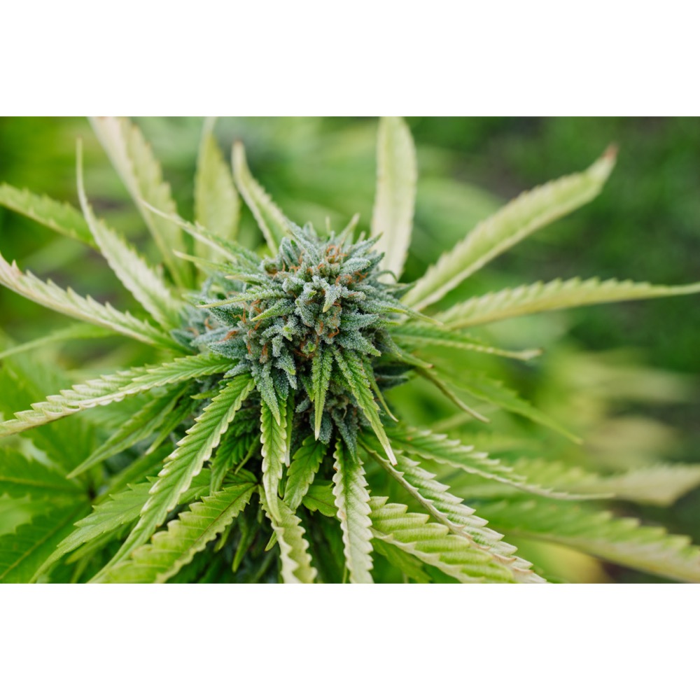 undefined 2