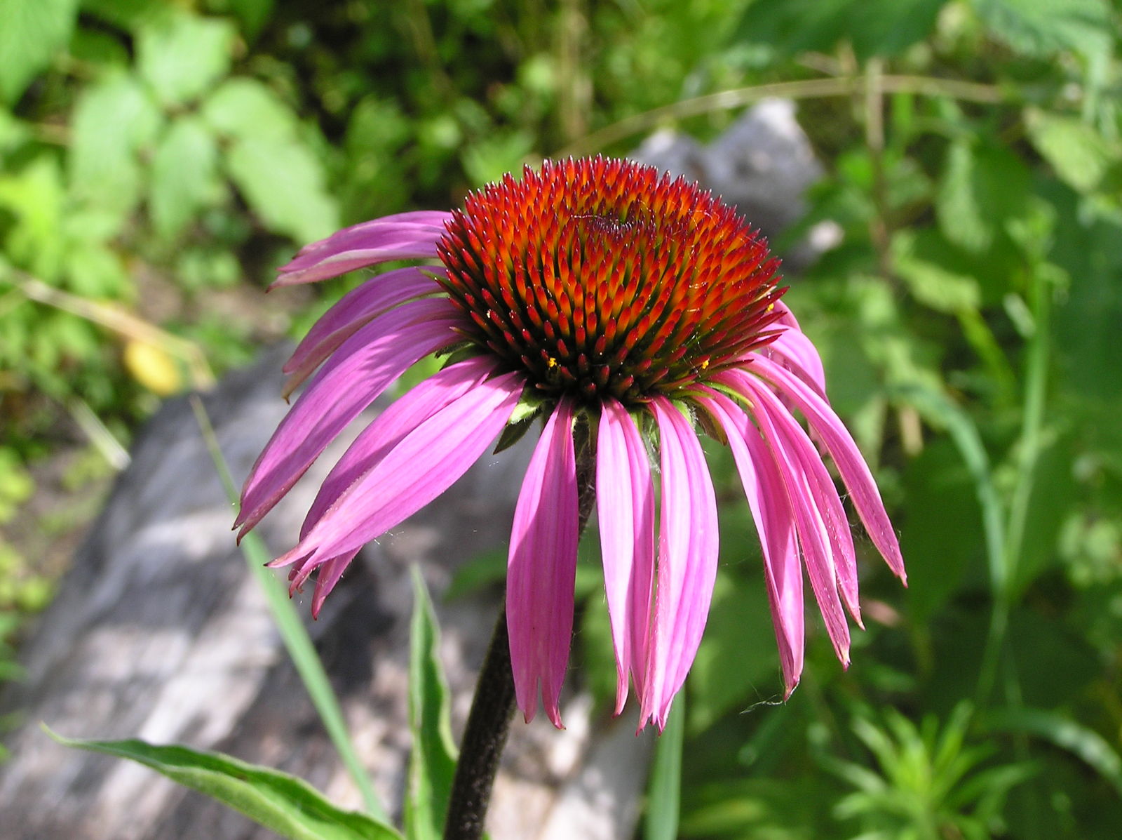 undefined 4