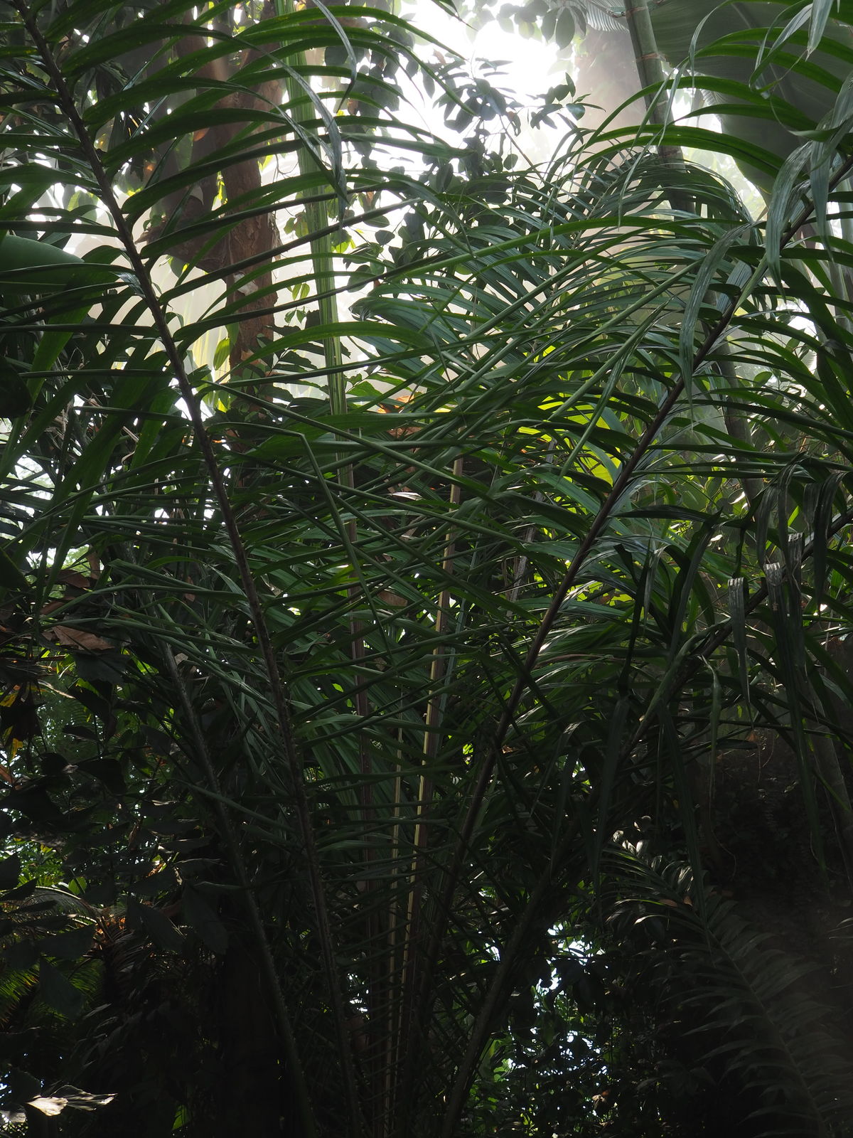 undefined 4