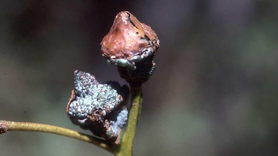 undefined 4