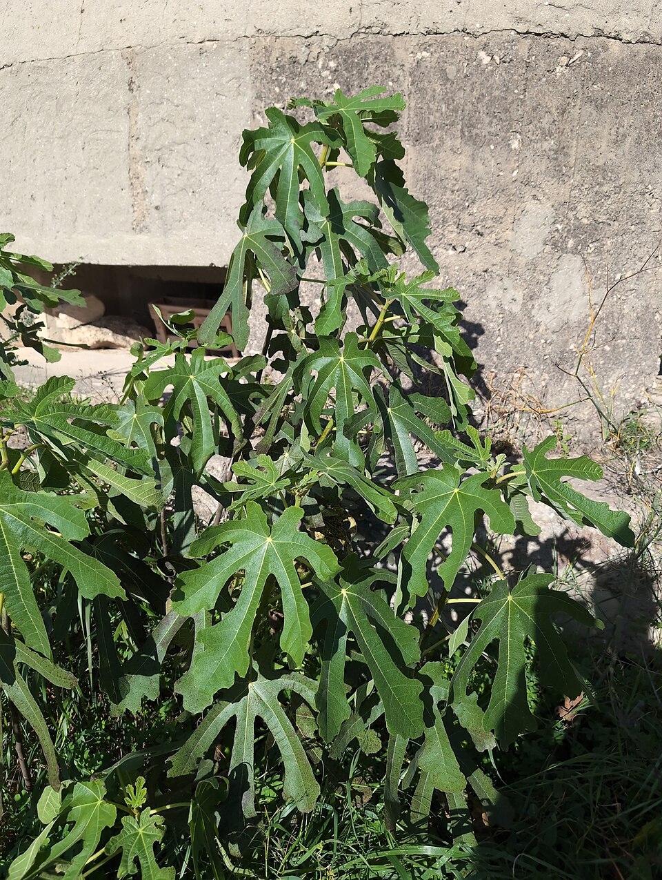 undefined 3