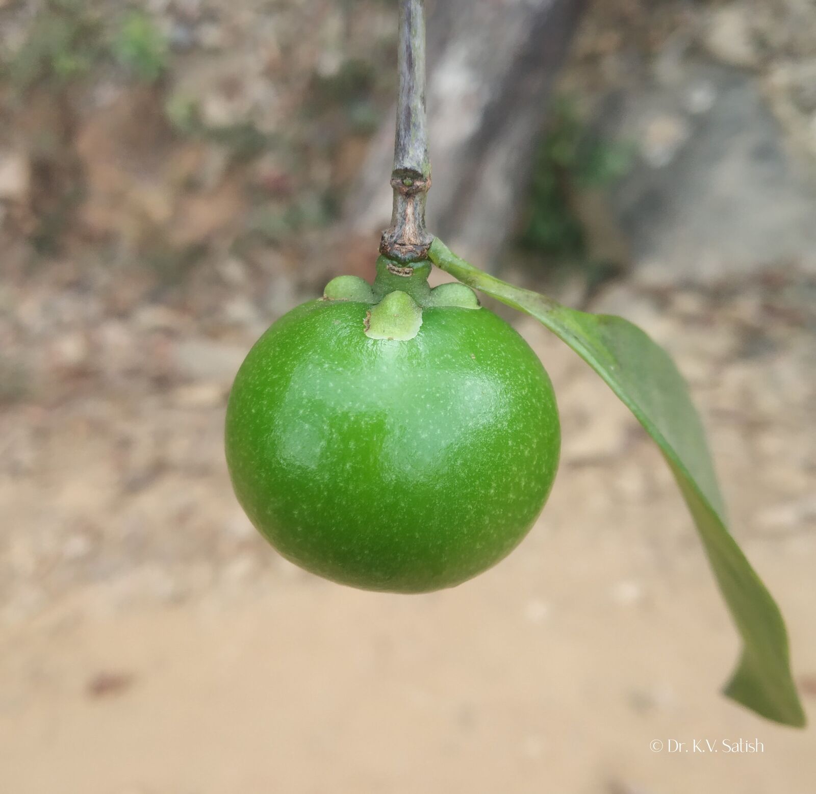 undefined 2