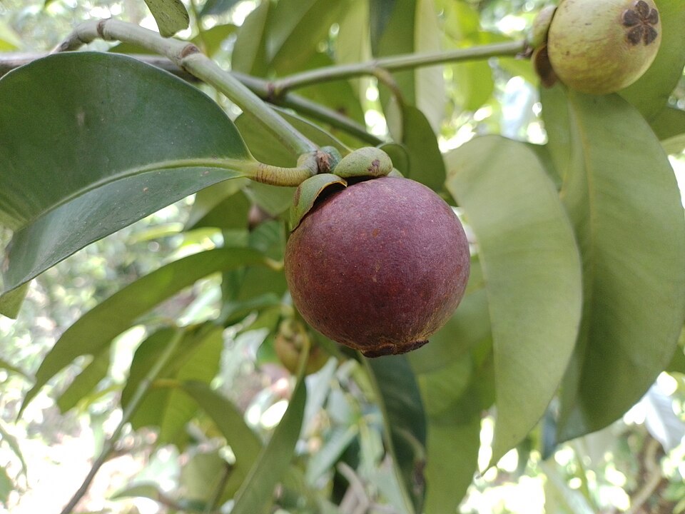 undefined 2
