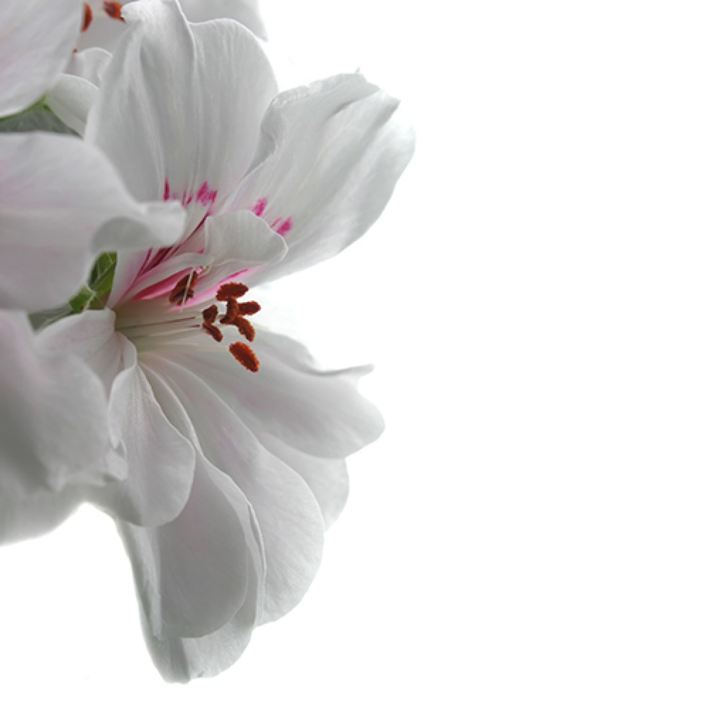 undefined 2
