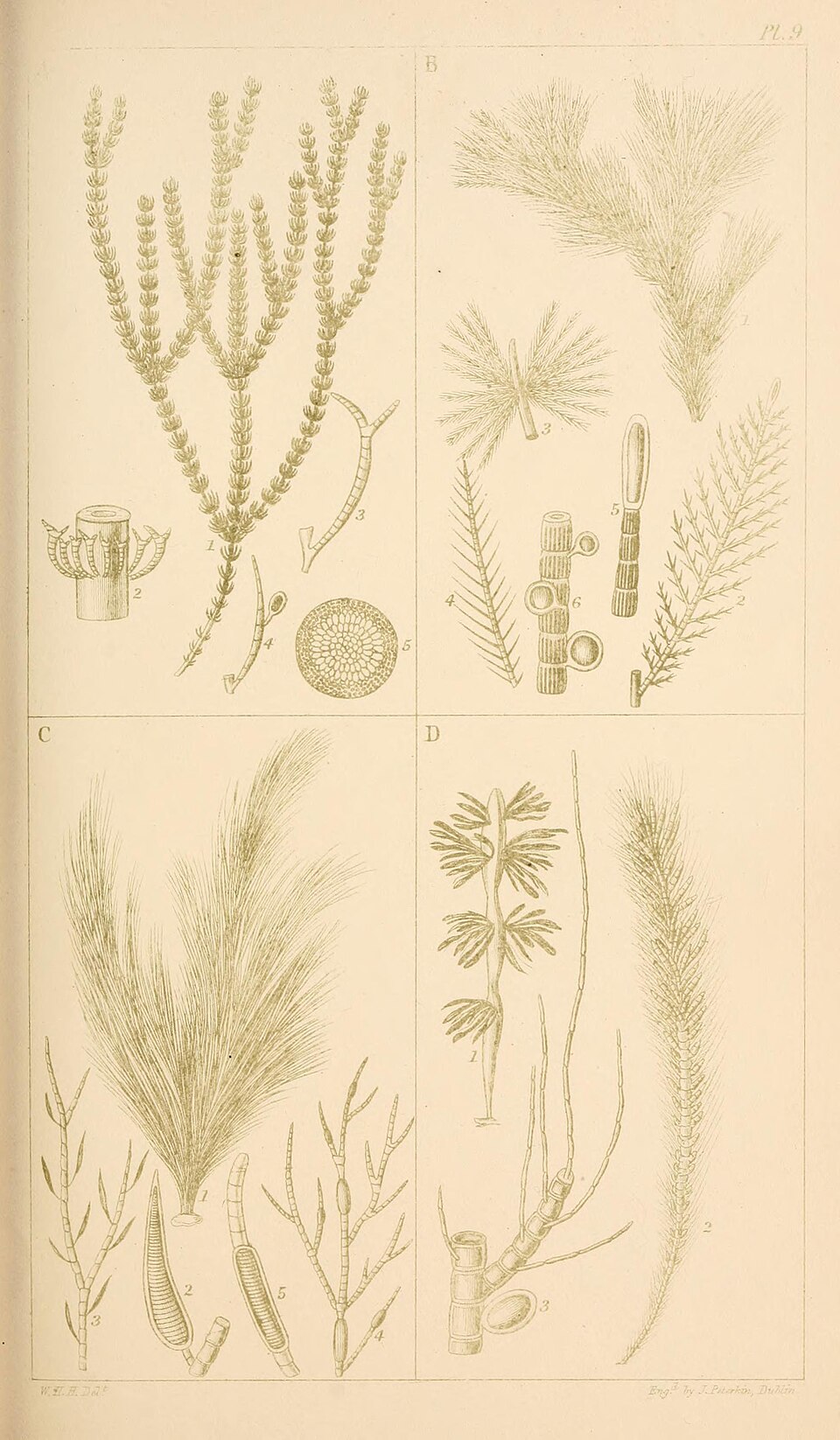 undefined 12
