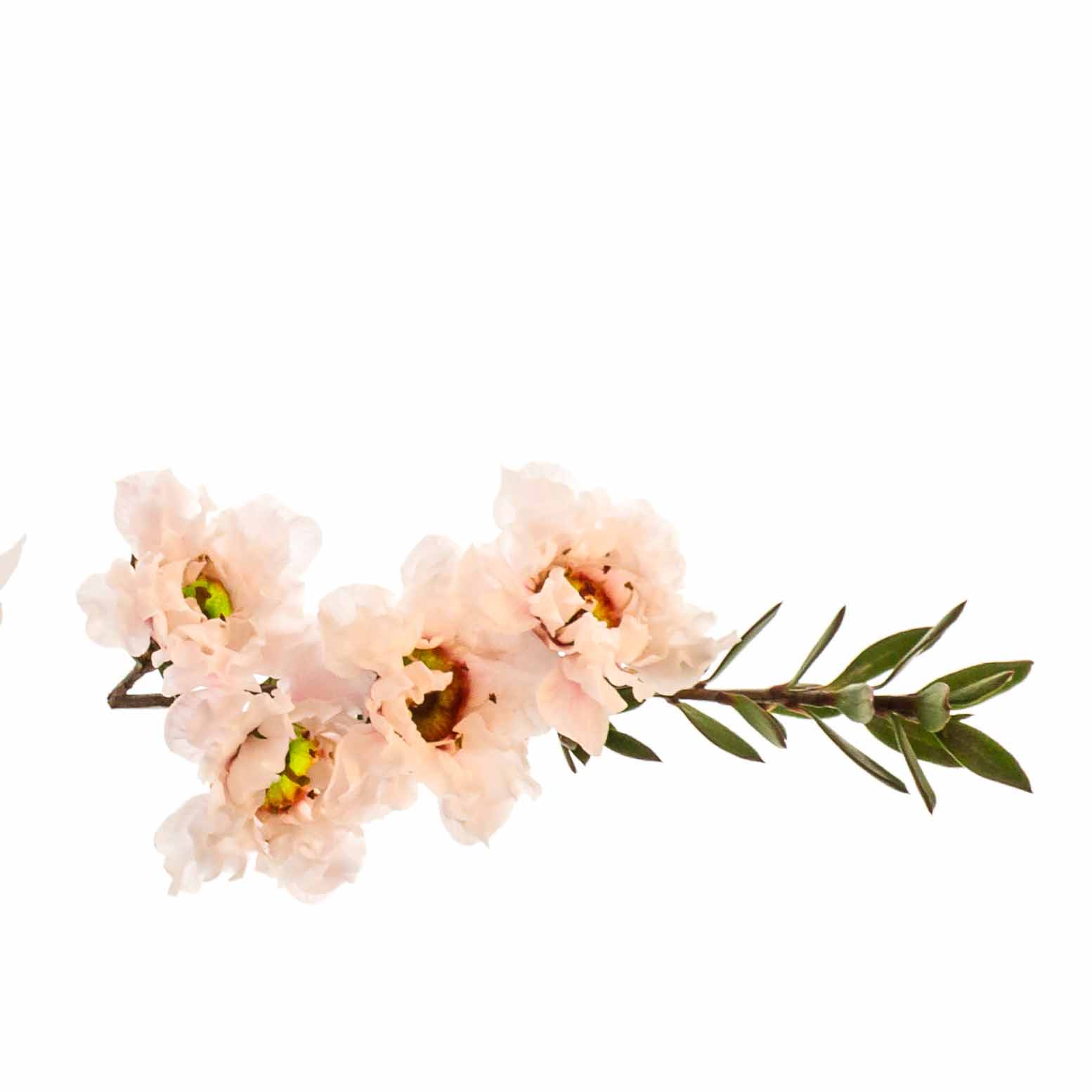 undefined 2