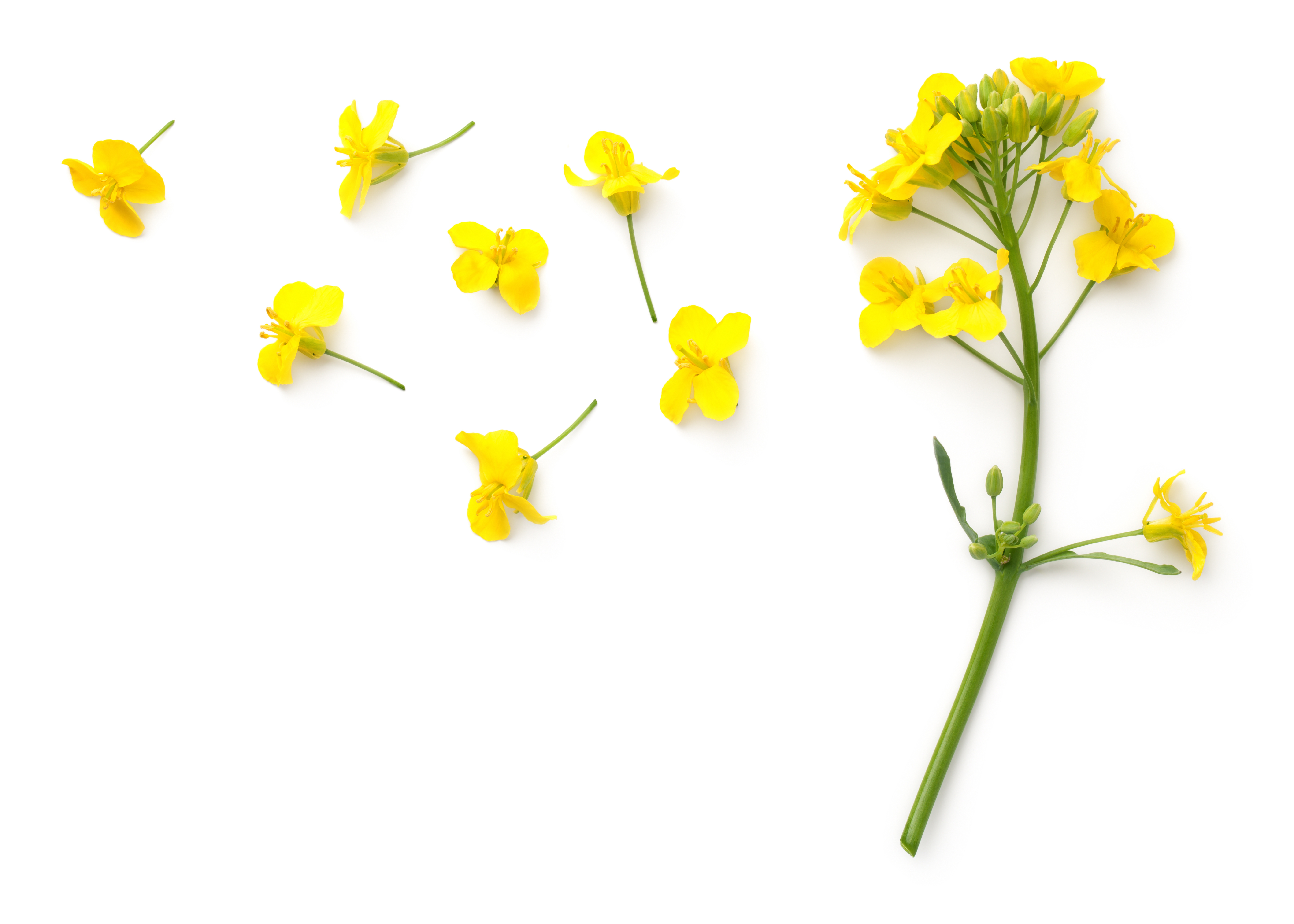 undefined 2