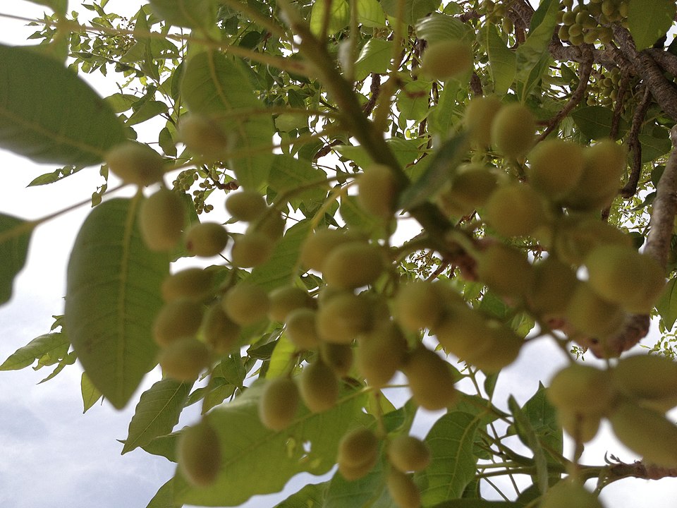 undefined 4