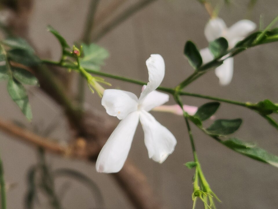 undefined 3