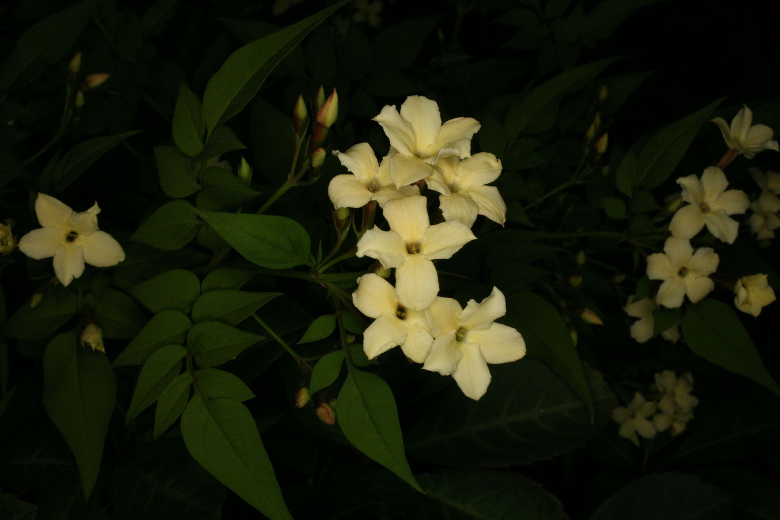 undefined 2