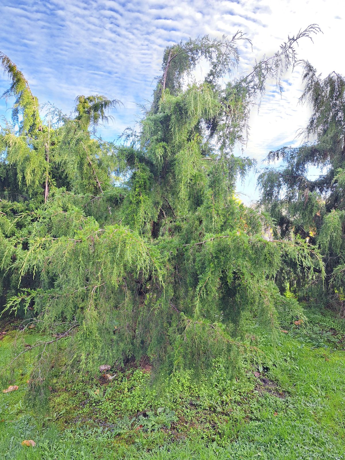 undefined 2